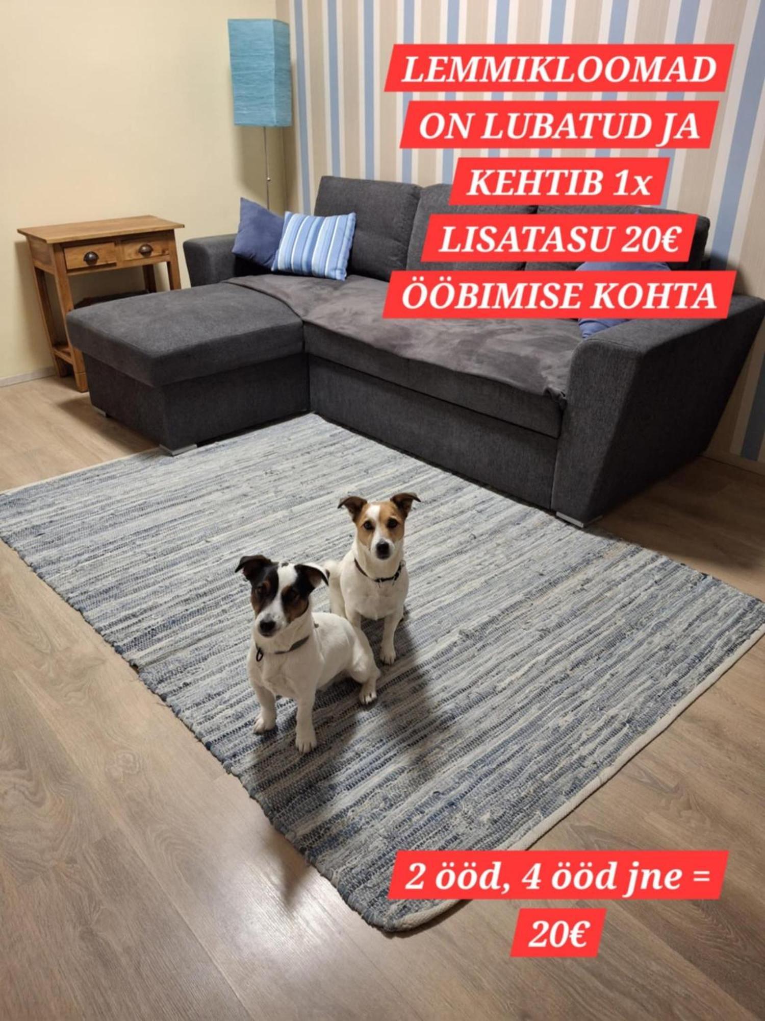 Arens Rent Kohtu 2a